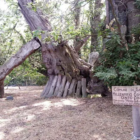 Βίλα Ninfea Mascalucia